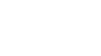 RISR White Logo RISR White Logo